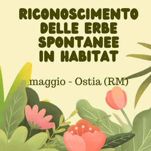 ostia